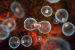 Cell Cycle