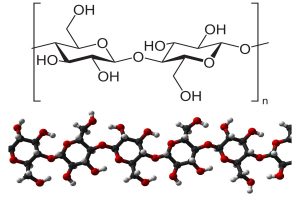 Cellulose