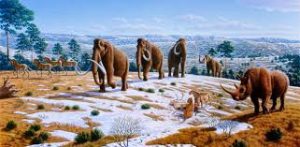 Cenozoic