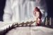 Consequentialism