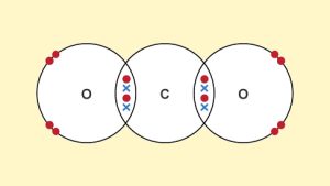 Covalent bond