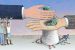 Crony capitalism
