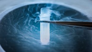 Cryogenics
