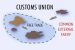 Customs union