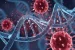 DNA virus