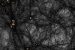 Dark matter