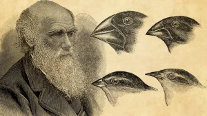 Darwinism