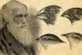 Darwinism