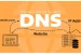Domain Name System