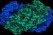 Enzyme