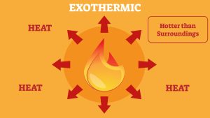 Exothermic process
