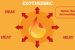 Exothermic process