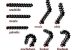 Fatty acid