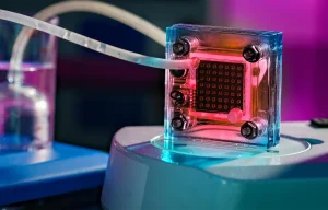 Fuel cell