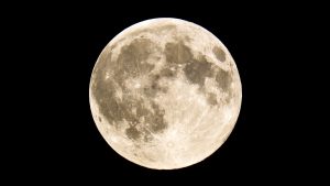 Full moon