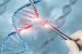 Gene therapy