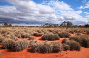 Great Victoria Desert