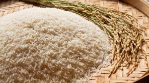 Arsenic contamination in paddy is rising in Bengal: Study