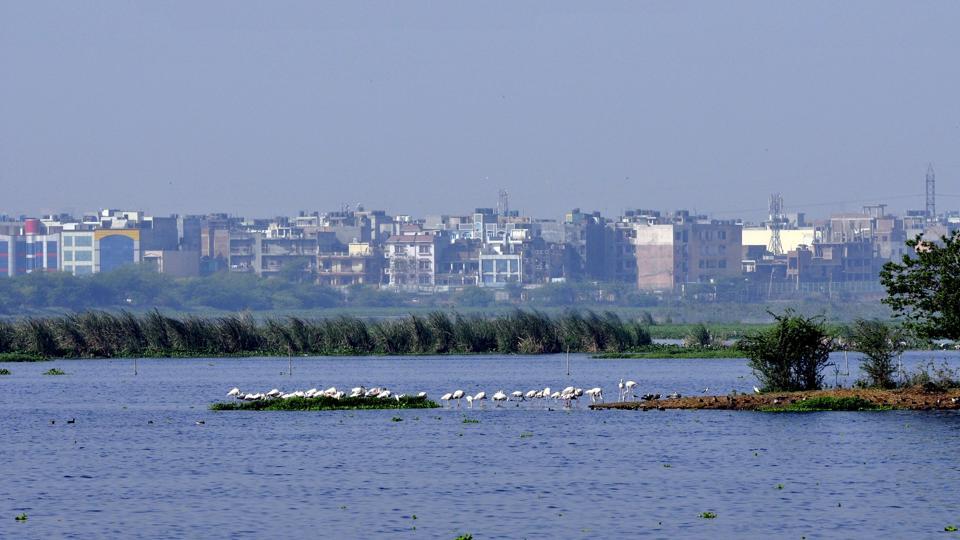 Agra Canal