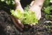 Agricultural science
