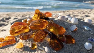 Amber Road
