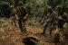 Ambush