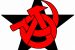 Anarchist communism