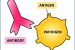 Antigen