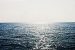Arabian Sea