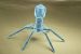 Bacteriophage