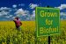 Rajasthan first State to implement biofuel policy