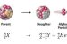 Alpha decay