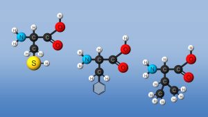 Amino acid
