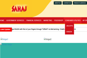 Government launches e-Sahaj portal to facilitate security clearances of businesses