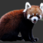 Fact Sheet: Mammals of India (MaOI)