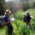 India’s first National Environment Survey to kick off in 2019