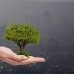 Government reconstitutes Environment Pollution (Prevention and Control) Authority