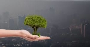Government reconstitutes Environment Pollution (Prevention and Control) Authority