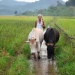 Agriculture Infrastructure Fund