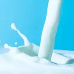 Govt extends ban on import of milk products from China for 4 months