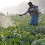 Government to appoint Committee to monitor DFI implementation