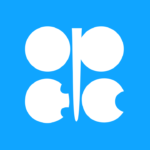 India-OPEC Energy Dialogue held virtually