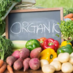 Women of India Organic Festival
