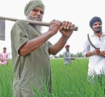 SBI Ecowrap Report recommends Unconditional Cash Transfer to Farmers