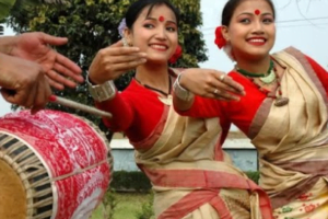 High-level committee for the implementation of clause 6 of the Assam Accord