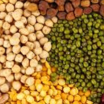 Nafed sell pulses to states under the scheme of Central Government
