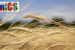 BRICS Grain Exchange