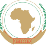 Egypt's el-Sissi Elected New Chairman of African Union