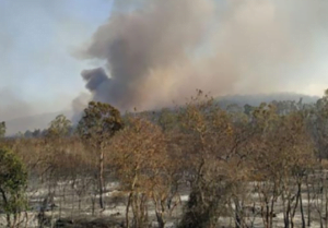 Fire at Bandipur Tiger Reserve