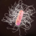 India and Sweden to Increase Cooperation on Anti-Microbial Resistance R and D
